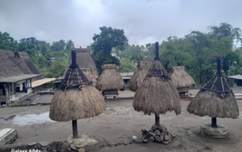 Discover Flores Island tourism with stunning nature